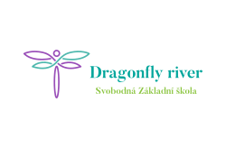 Dragonfly river