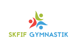 logo SKFIF