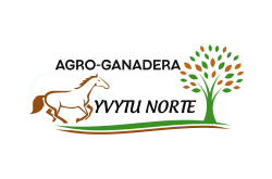 YVYTU NORTE